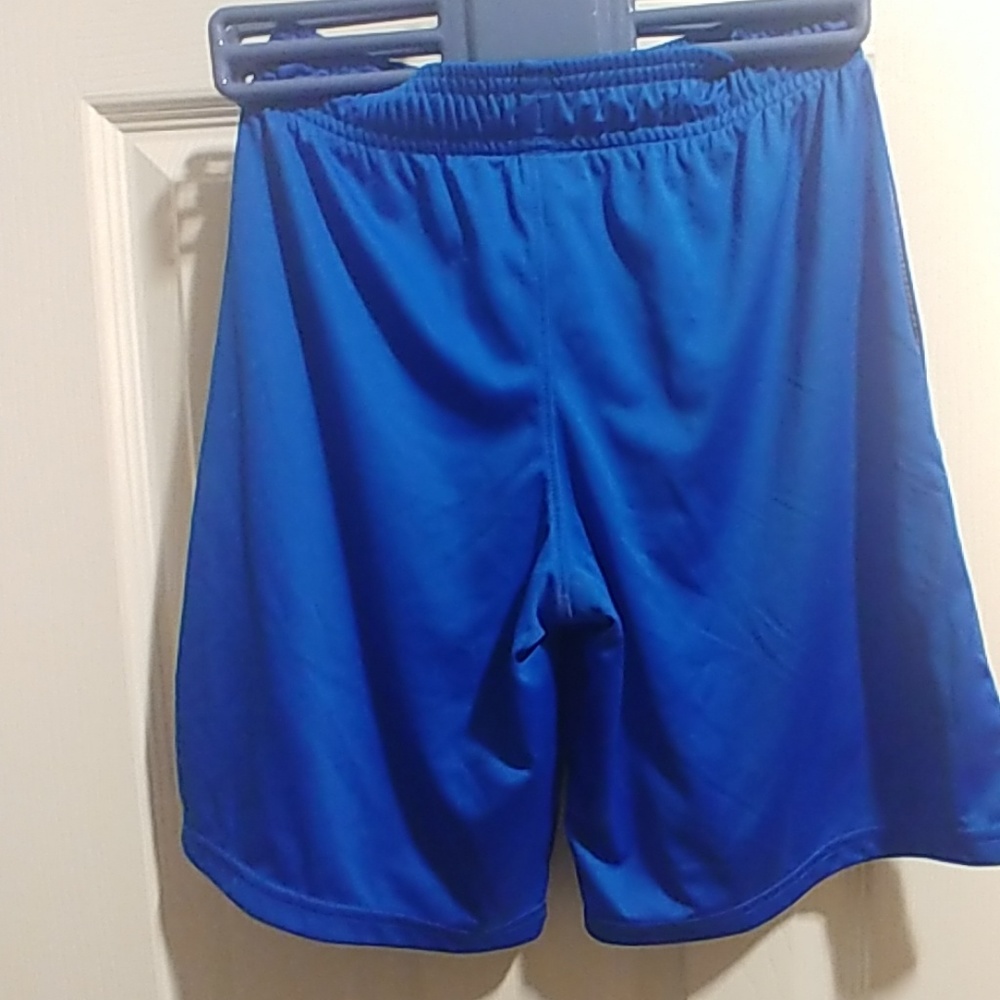 Shorts - Picture 2 of 4